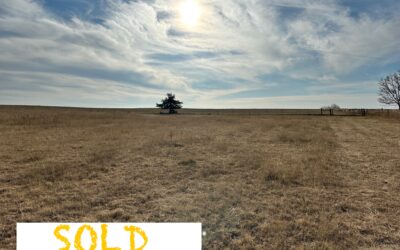 Nystrom Road Grassland